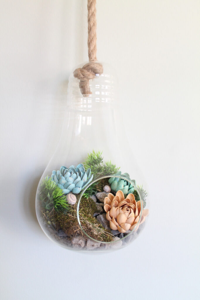 Terrarium with pistachio shells