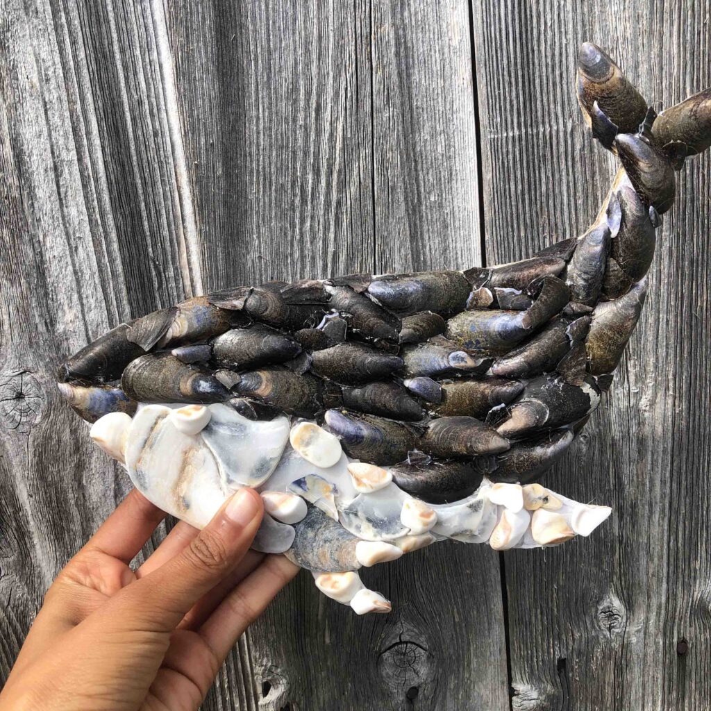 Whale with mussels and white shells