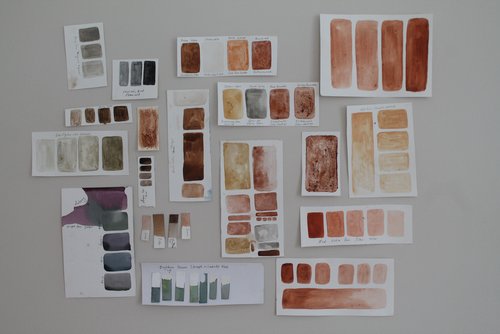   Earth & Plan Pigments Test Wall