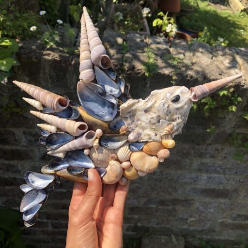 Hummingbird with foraged shells