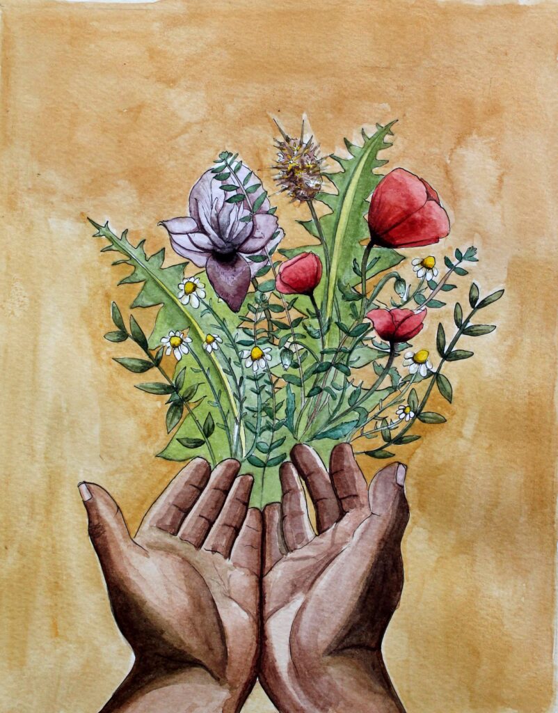 Forest Tale, 7.5 x 10" (2018)